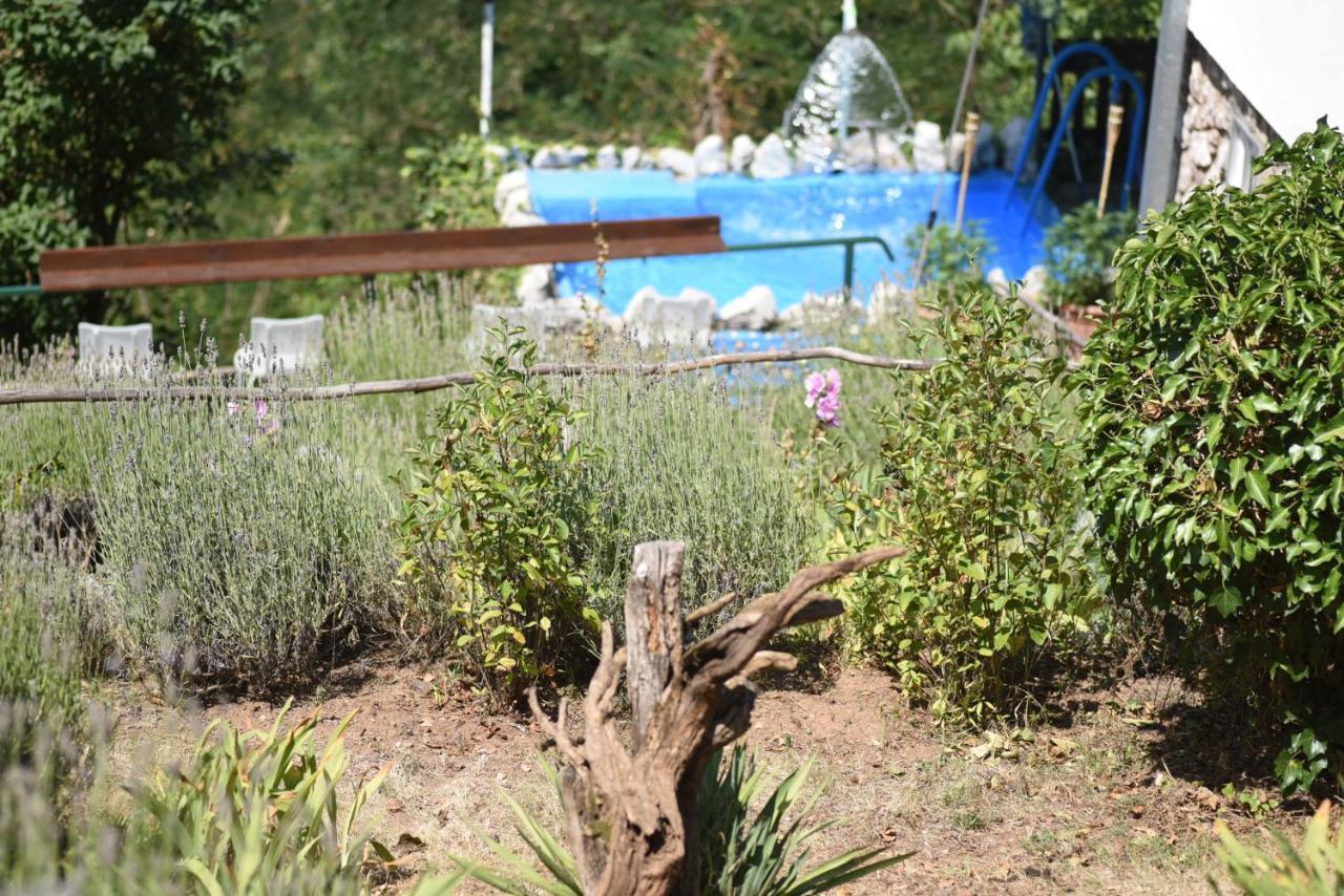 Vila Lena Meduvrsje Dış mekan fotoğraf