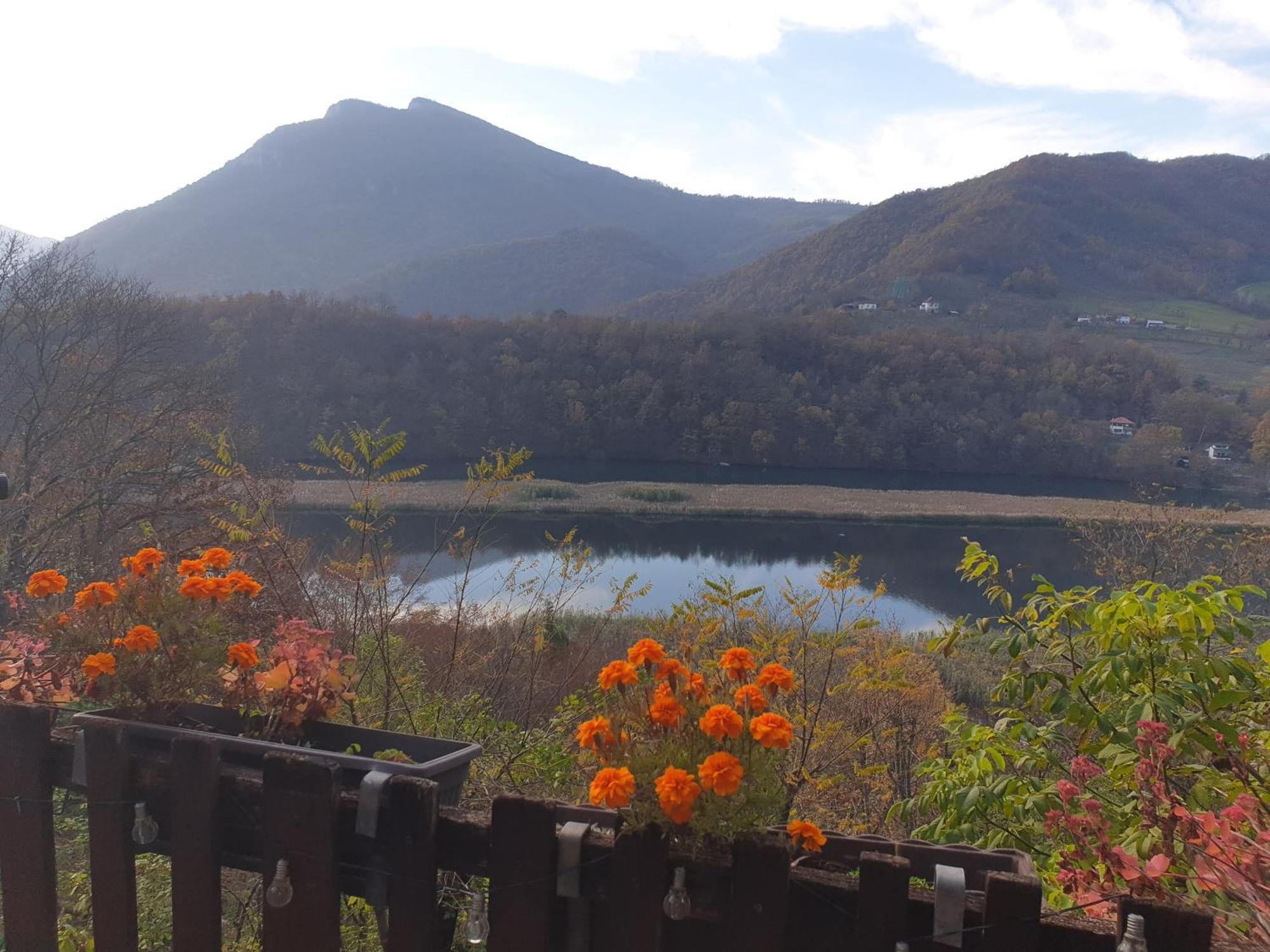 Vila Lena Meduvrsje Dış mekan fotoğraf